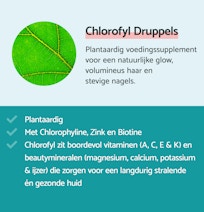 Chlorofyl Druppels: plantaardig voedingssupplement