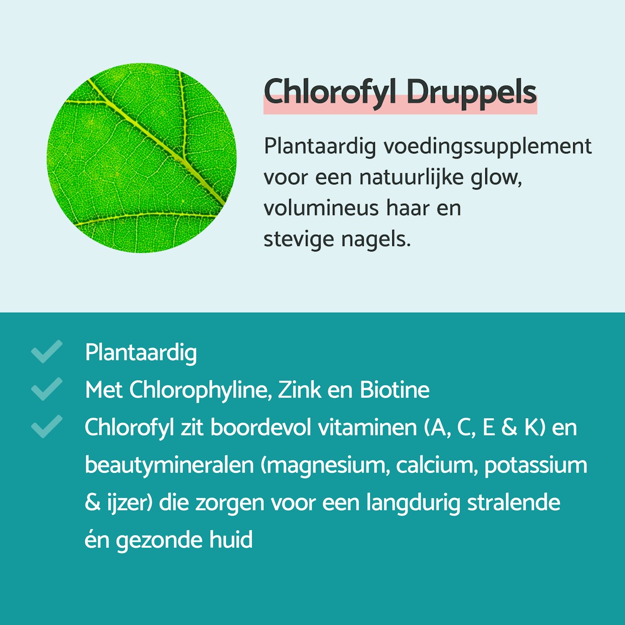 Chlorofyl Druppels: plantaardig voedingssupplement