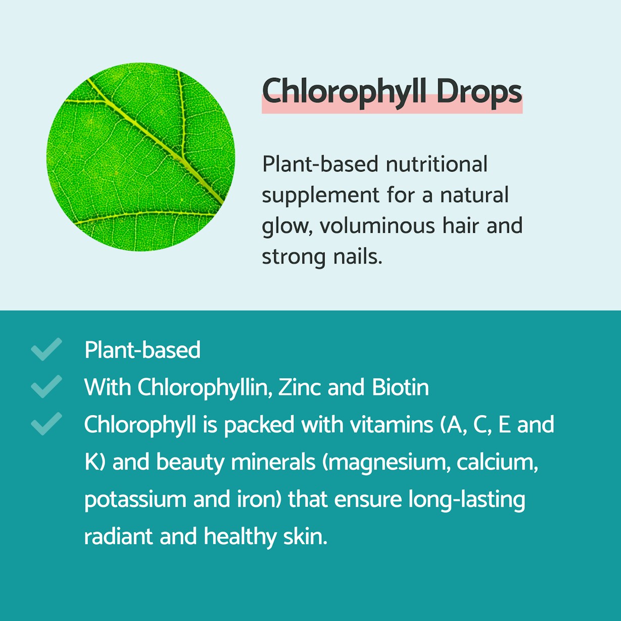 UK Chlorophyll Drops Product Images3