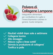 Remescar pdp pictures website and amazon 2000x2000px collagen powder raspberry ITA2
